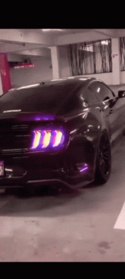 Black Mustang Parked In Garage With Purple Lights GIF