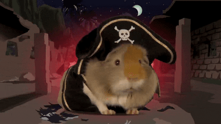 Black Outfit Guinea Pigs GIF