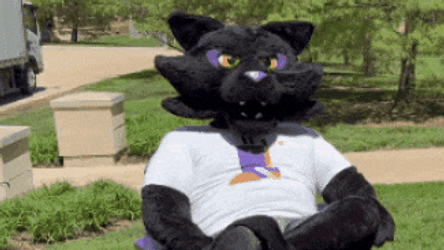 Black Panther Mascot Relax  GIF