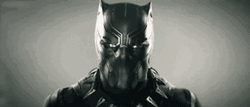 Black Panther Transformation