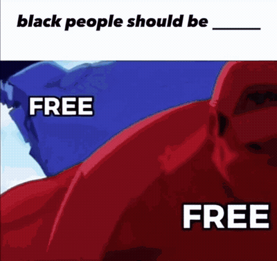 Black People Should Be Free Meme GIF