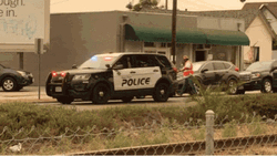 Black Police Car Red Blue Lights GIF