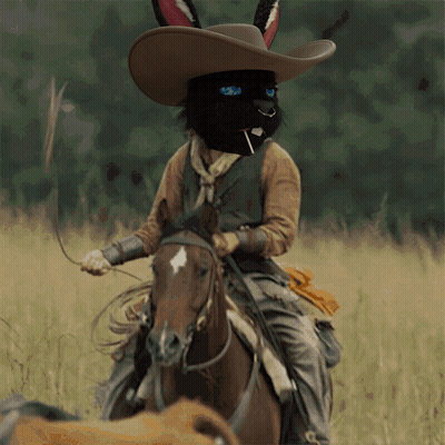 Black Rabbit In Cowboy Hat Rides Horse GIF