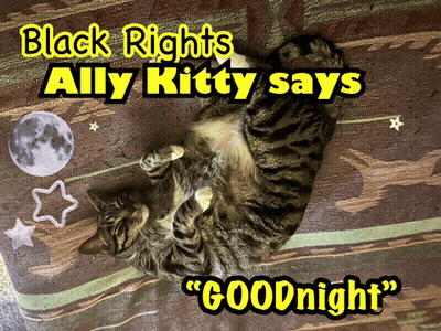 Black Rights Ally Kitty Saying Goodnight GIF