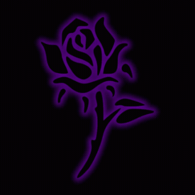 Black Rose With Purple Glowing Petals GIF