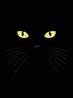 Black Screen Black Cat GIF