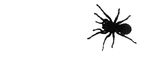 Black Spider Crawling Sticker