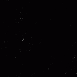 Black Supreme Confirm Ketanji Brown Jackson GIF