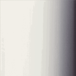 Black Supreme Judge Jackson Equality GIF