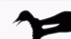 Black Swan Demise GIF