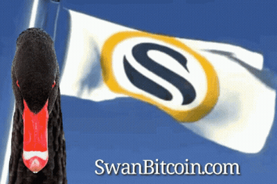 Black Swan in Front of Swanbitcoin.com Flag