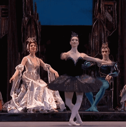 Black Swan Olga Smirnova Dance GIF