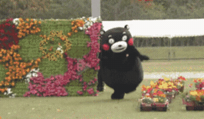 Black Teddy Bear In Front Of Flower Wall GIF