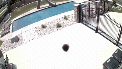 Black Trash Can With Word Trash In Front Of Fence GIF