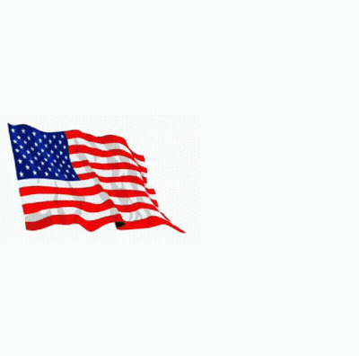 Black Voices For Biden Poster GIF