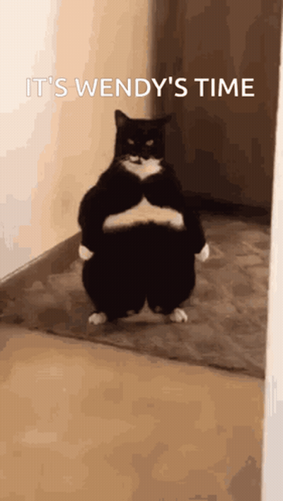 Black White Cat Arms Crossed Says It's Wendy's Time GIF