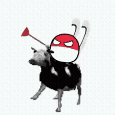 Black White Cow Red White Ball On Back GIF