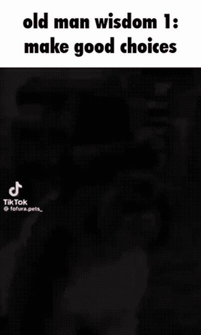 Black White Dog Wisdom 1 Make Good Choices GIF