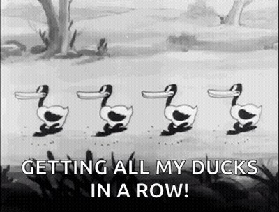 Black White Getting All My Ducks In Row GIF