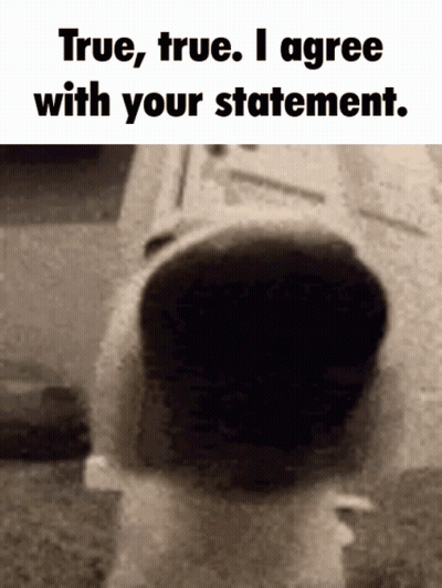 Black White Person True True I Agree Statement GIF