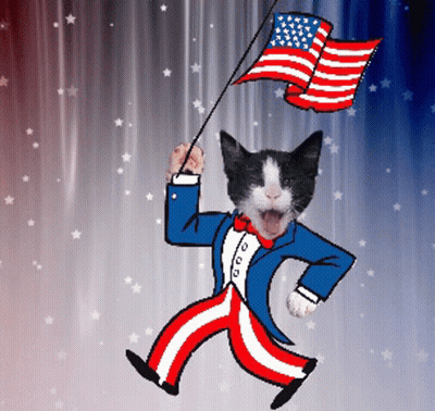 Black White Uncle Sam Cat Holding American Flag