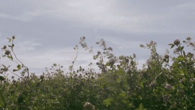 Black White Woman With Flower Crown Gazing Ocean GIF