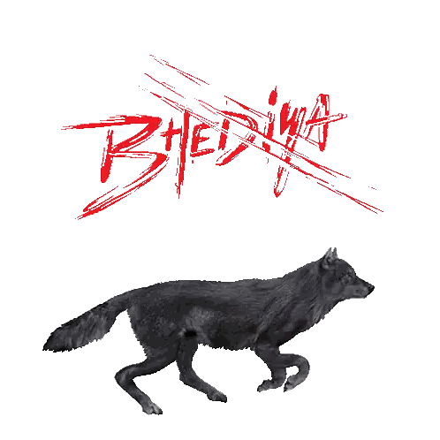 Black Wolf Running Bleeding Sticker