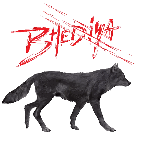 Black Wolf Walking Bhedyna Sticker