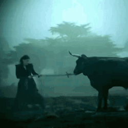 Black Woman Pulling A Bull GIF