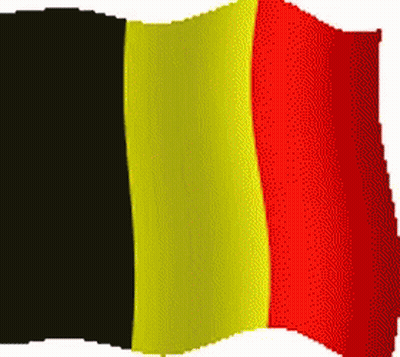 Black Yellow And Red Flag Waving GIF