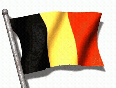 Black Yellow Red Flag Flying GIF