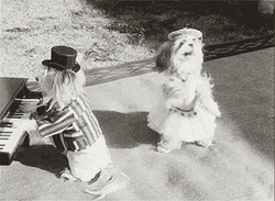 BlackAnd White Dancing Dog Party GIF