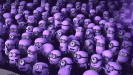 Blacrswan GIF