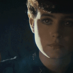 Blade Runner Fandor GIF