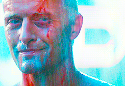 Blade Runner Time To Die GIF