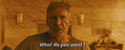Blade Runner What Do You Want GIF