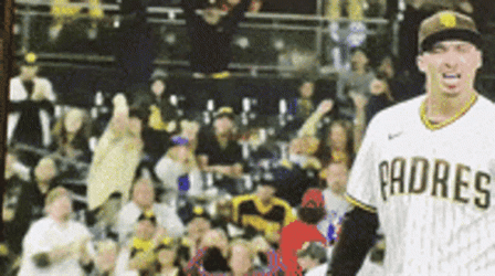 Blake Snell Screaming Walk Off GIF