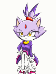 Blaze The Cat Blinking GIF