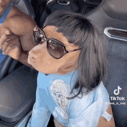 Blazedpx Dog GIF