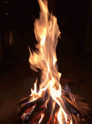Blazing Night Warm Campfire GIF