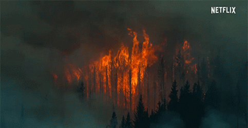 Blazing Wildfire Visible In Hazy Forest. GIF