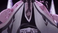Bleach Shinagami Shunsui Kyōraku  GIF