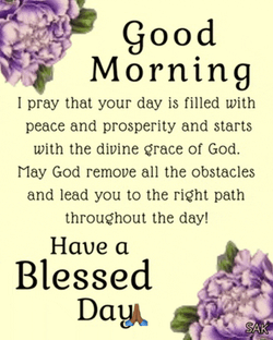 Bless Blessed Meme GIF