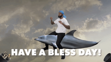 Blessed Day Man Riding A Dolphin GIF