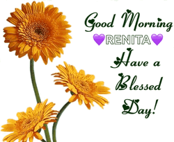 Blessed Day Yellow Daisies GIF