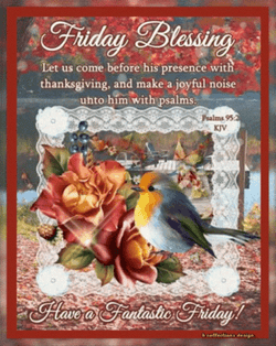 Blessed Friday Robin Bird GIF