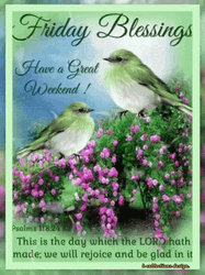 Blessed Friday Tennessee Warbler Birds GIF