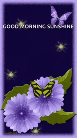 Blessed Good Morning Wednesday Sunshine GIF