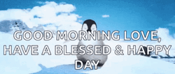 Blessed Monday Happy Penguin Running GIF