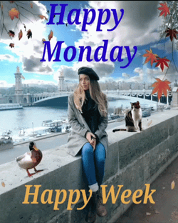 Blessed Monday Happy Week GIF